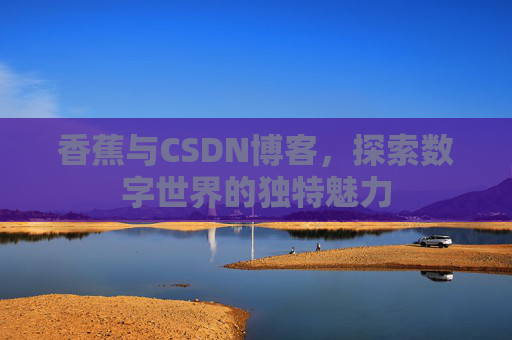 香蕉与CSDN博客，探索数字世界的独特魅力